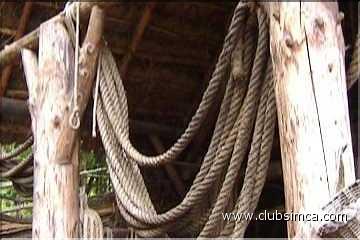 Cordier