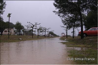 RIO del Las Palmeras