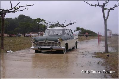 Amphibie
